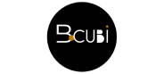 logo bocubi